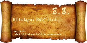 Blistyan Bálint névjegykártya